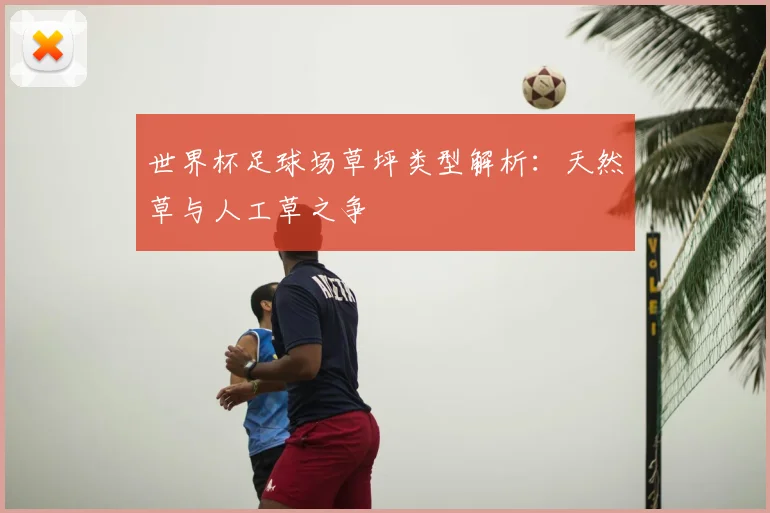 世界杯足球场草坪类型解析：天然草与人工草之争