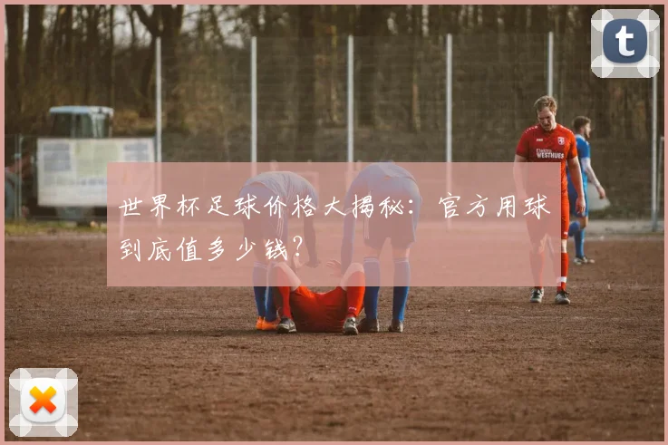 世界杯足球价格大揭秘：官方用球到底值多少钱？