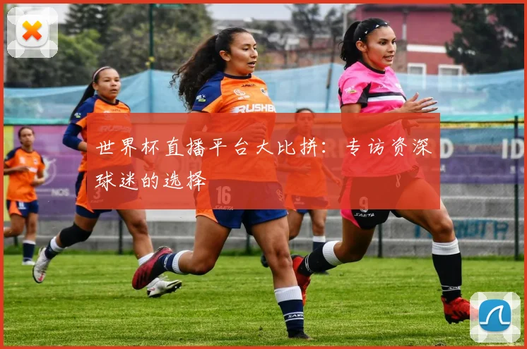 世界杯直播平台大比拼：专访资深球迷的选择