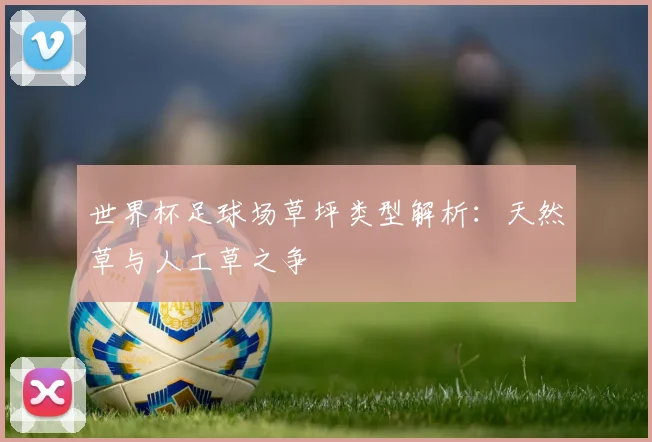 世界杯足球场草坪类型解析：天然草与人工草之争