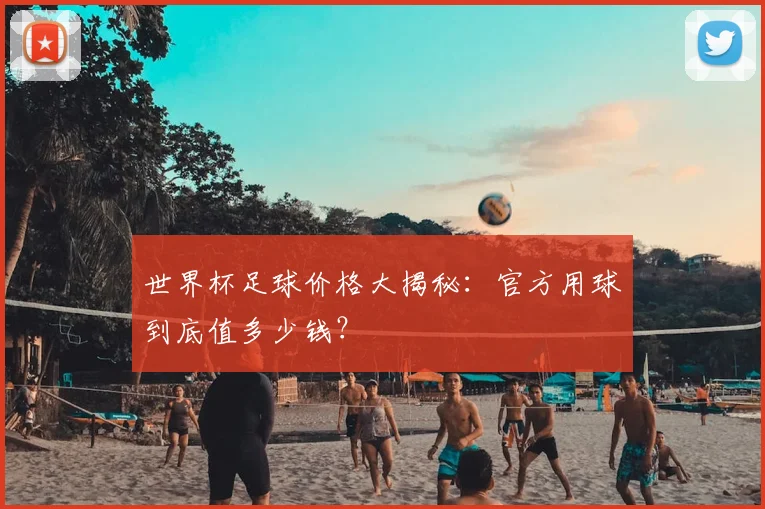世界杯足球价格大揭秘：官方用球到底值多少钱？