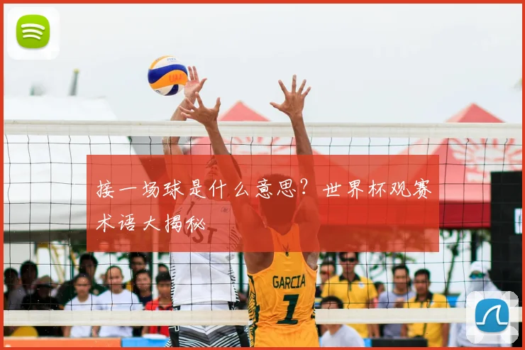 接一场球是什么意思？世界杯观赛术语大揭秘