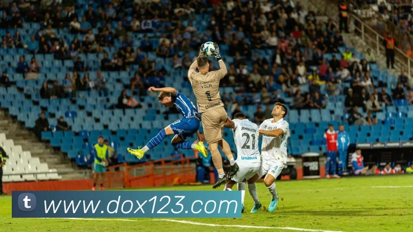 云开app官网入口网页版服务体系